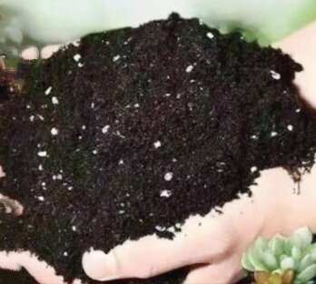 通海县纯松针育苗基质，花卉，盆栽，蔬菜育苗