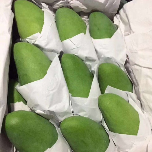 凭祥市二级越南大青芒2.1元一斤一件批发对接市场商超甜品蛋糕饮品