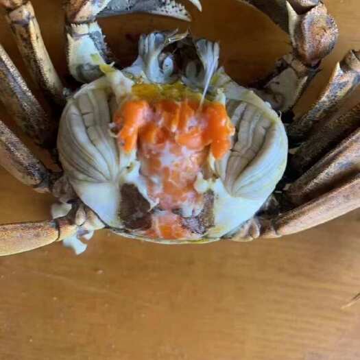 稻田蟹可以单位节日福利 自助餐 量大来谈