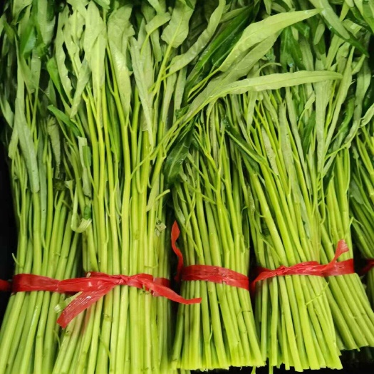 基地种植空心菜，种植面积大，货源充足，价格便宜，需要的联系我