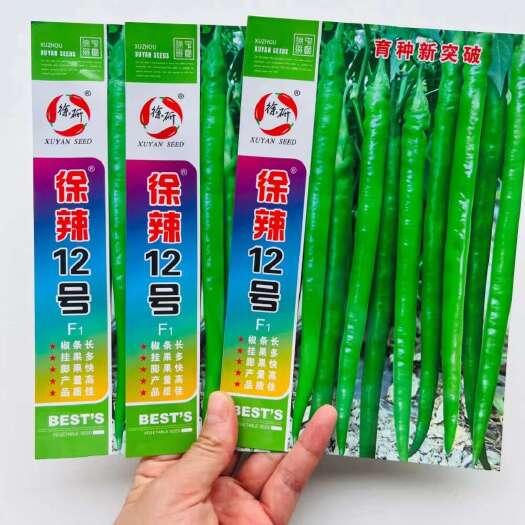 沭阳县长线椒种子徐辣12号线椒种子 早熟长果型辣椒种子