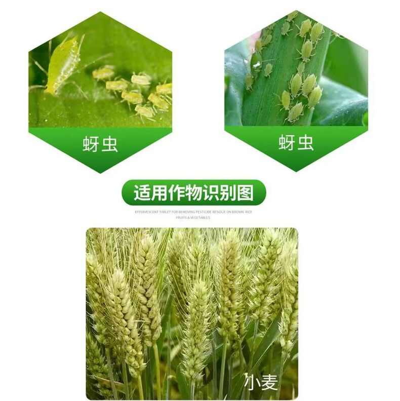 植轻松联苯噻虫胺联苯菊酯番茄黄瓜通用正品蔬菜蚜虫农药杀虫剂