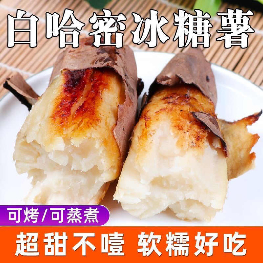 新鲜冰糖心哈密红薯河南白瓤地瓜农家种植番薯白薯哈密，软糯香甜