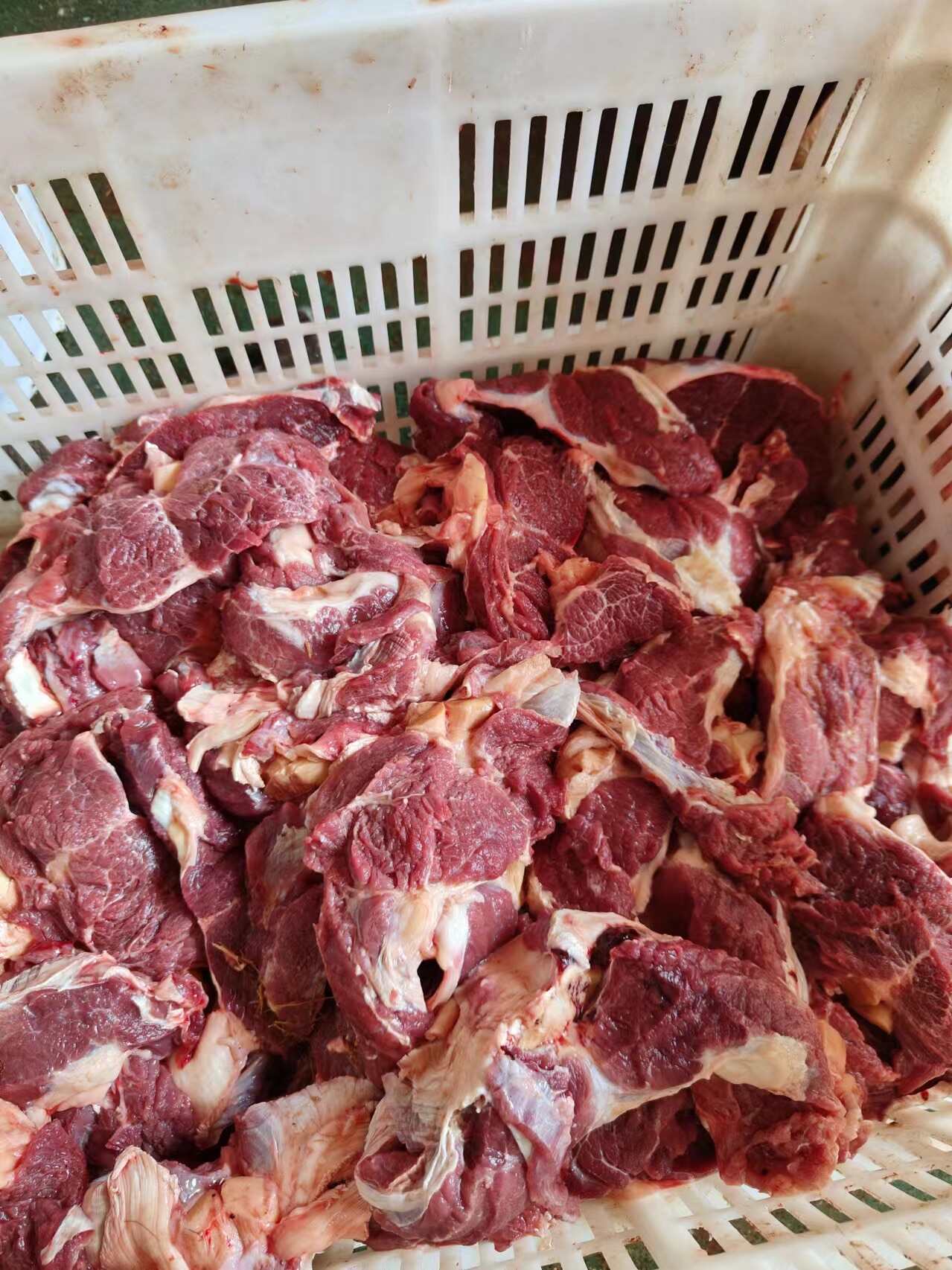 【招合作商-生牛肉块】生牛肉块 适合炒菜