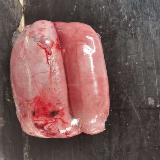 郑州国产牛宝批发 新鲜牛副产品 禽畜肉蛋优选