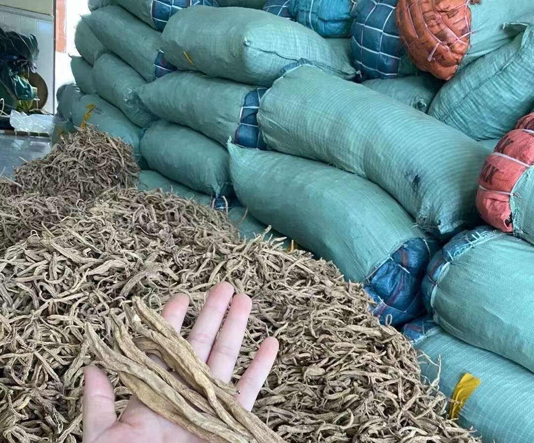 土党参，土党参，奶浆根，无硫磺水洗足干货，产地一手货源
