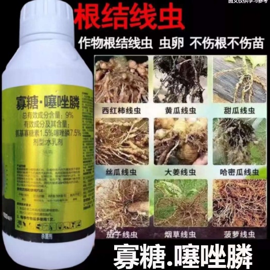 陆丰市寡糖噻唑膦 西红柿线虫，黄瓜线虫，甜瓜线虫，丝瓜线虫