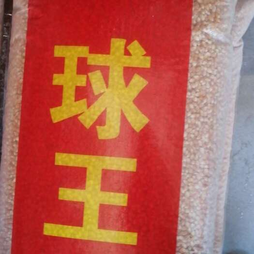 中牟县球型爆米花玉米