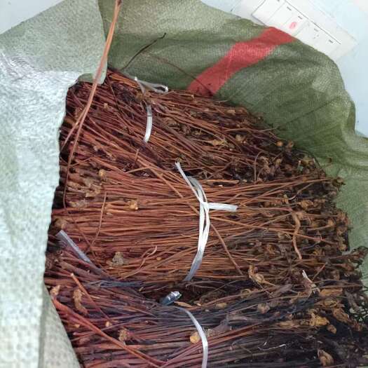 巧家县云南管真花，菰，干货