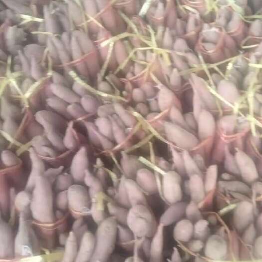 夏县板栗红薯