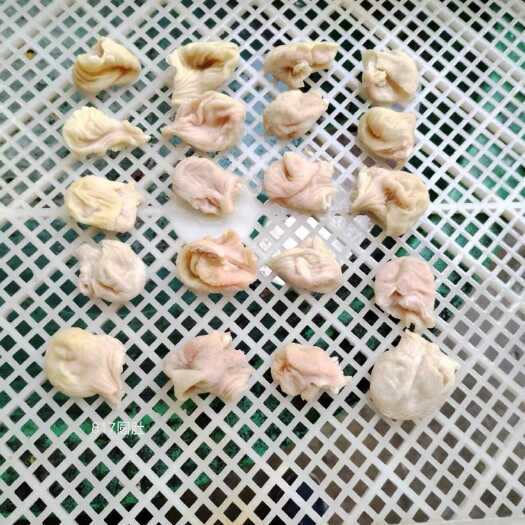 817鸡嗉子圆肚，八成熟