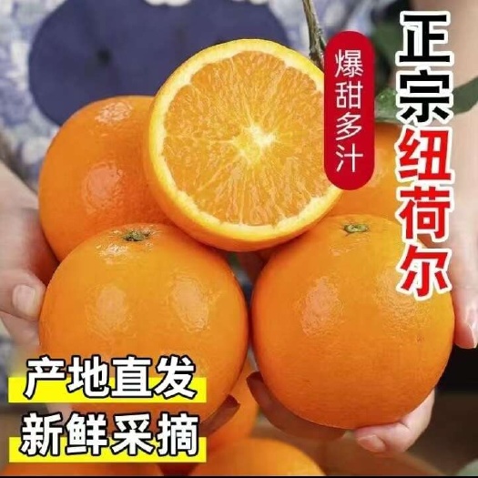 当季橙子新鲜水果高山脐橙应季手剥甜橙榨汁批发整箱非赣南的脐橙