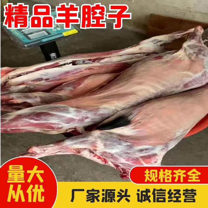 白条羊整只 羊腔子新鲜现杀不打水 烤全羊最适合