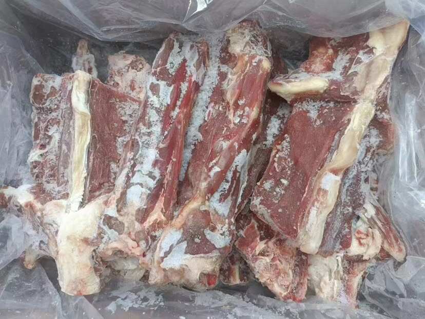 满肉羊蝎子