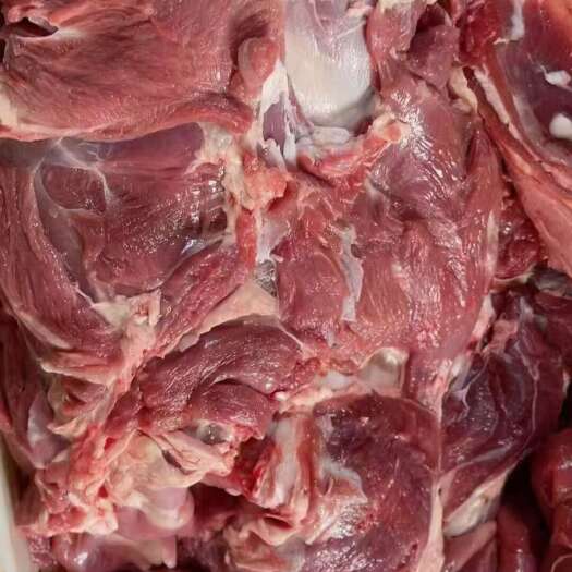 郑州羊腿肉 羊板肉