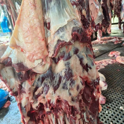 汕头鲜冻牛腩