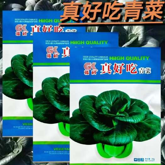 真好吃青菜种子高产耐寒墨绿青梗菜四季蔬菜种籽苏州青种子菜种