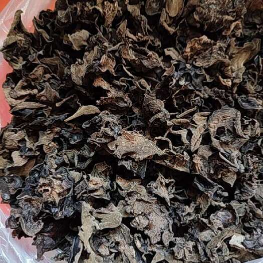 扎鲁特旗黑木耳
