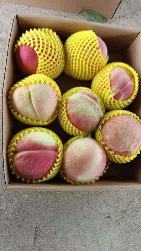 中华寿桃，在这个季节能吃到桃子，人生一大幸事