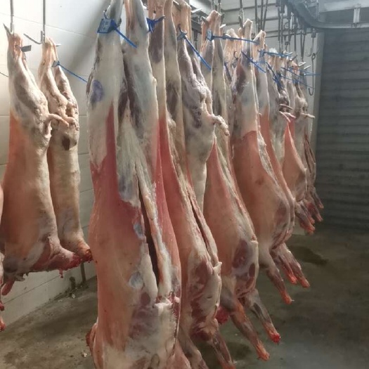 榆林山羊肉