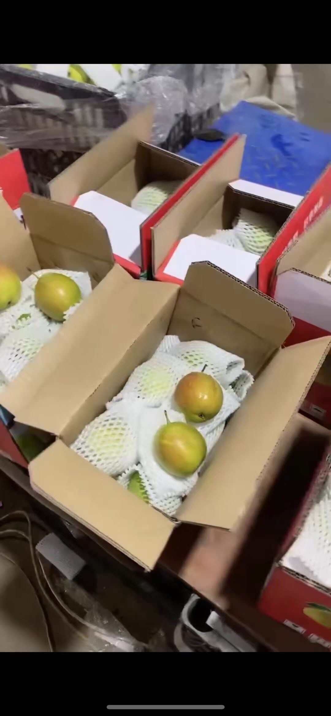 礼盒香梨 礼盒秋月梨 大量现货供应 保质保量