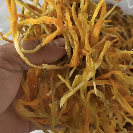 祁东县保鲜黄花菜
