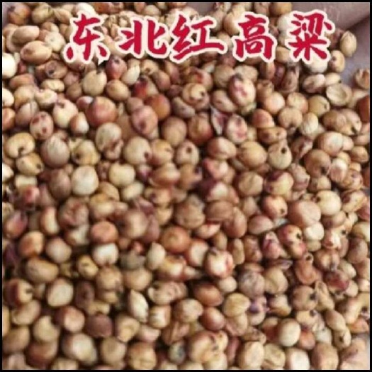 内黄县高梁