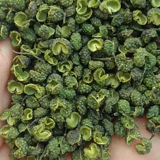 重庆市青花椒/重庆花椒/精品丫丫货90开口