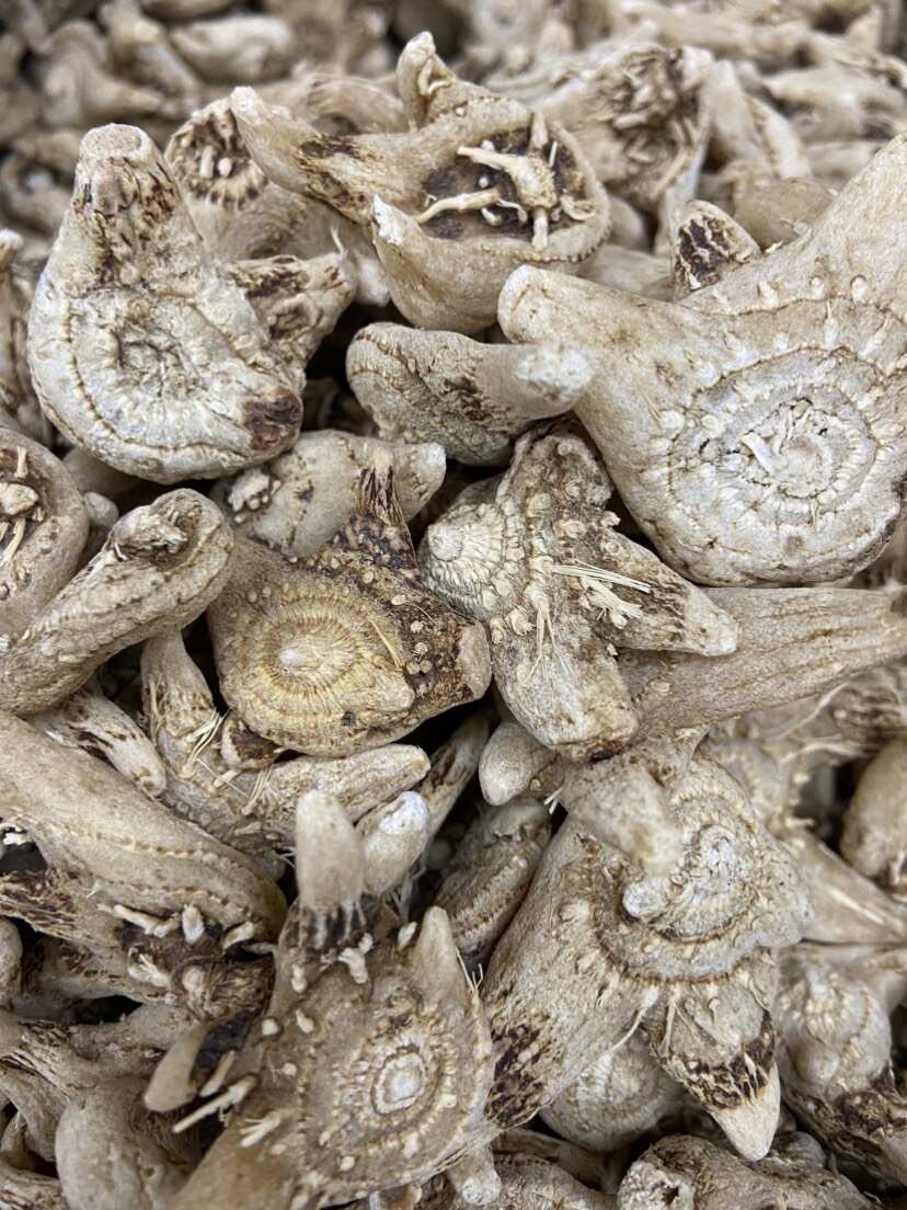 【白及】白芨实物拍摄规格齐全价格优惠大货对接量大优惠