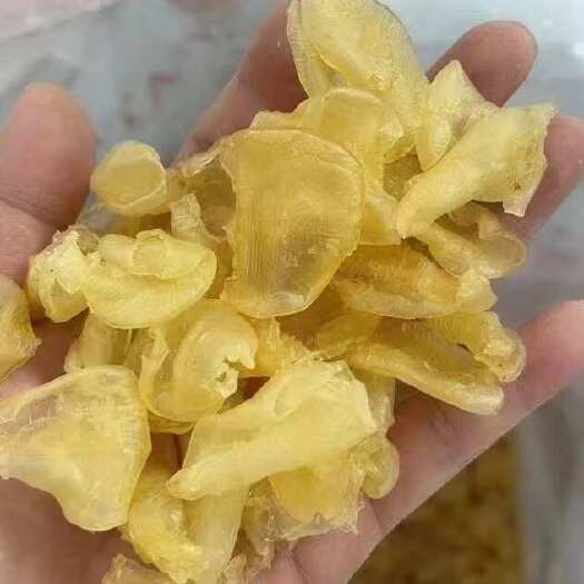 湛江珍珠胶鱼瓢