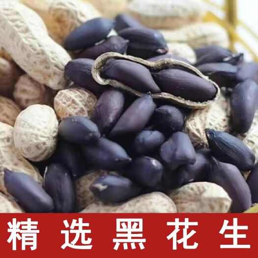 包邮）24年富硒黑花生5斤带壳黑花生 农家自产紫花生五谷杂粮