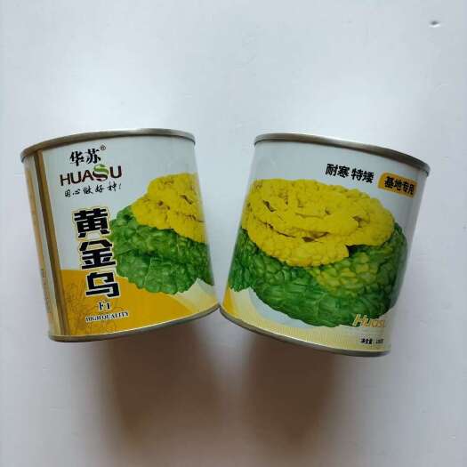 沭阳县黄贵妃黄心乌白菜种子 金光灿灿黄心乌塌菜种子