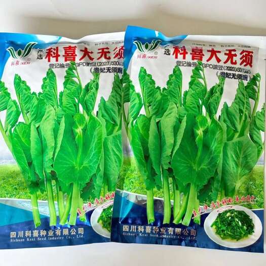 沭阳县无须豌豆苗种子科喜大无须豌豆尖种子绿油油无须豌豆苗种子