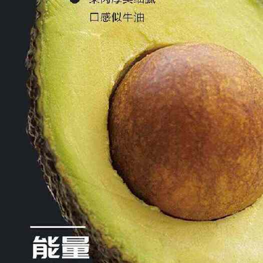 上海智利牛油果鳄梨宝宝辅食新鲜水果上海现货速发