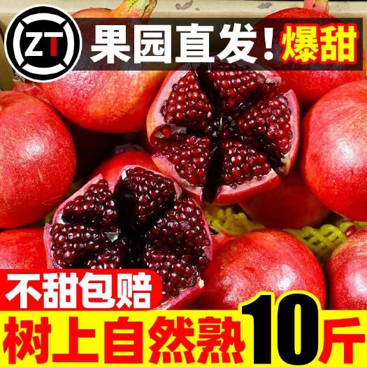 会理突尼斯软籽石榴四川应当季孕妇水果整箱包