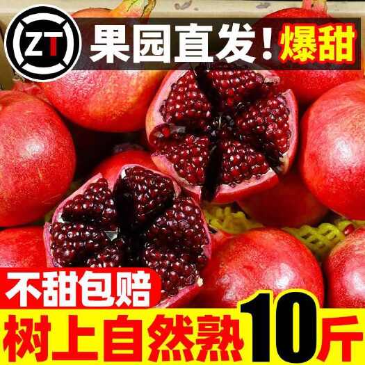 大英县会理突尼斯软籽石榴四川应当季孕妇水果整箱包