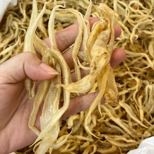 广州鱼胶龙须胶小金龙花胶泡发胶质好厚肉自吃性价比高