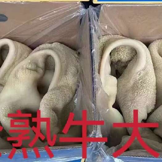 成都羊副产品