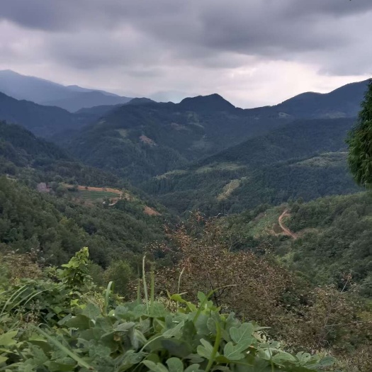 宁强县土地出租