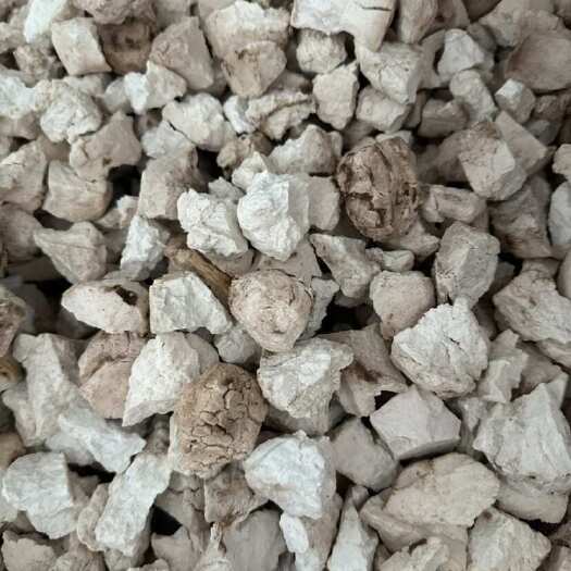 丽江道地云南云茯苓（含茯神）干货整个和去皮切块