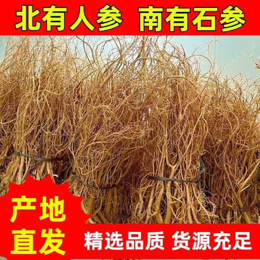 玉林新货足干无硫石参根大量批发