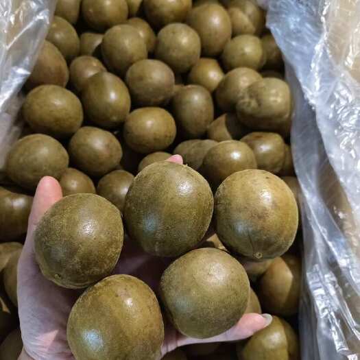 南宁罗汉果 大量现货大中小都有 有零售有批发