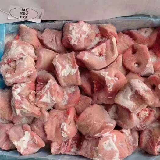 临沂山东临沂新鲜猪嘴猪拱嘴肉质鲜嫩2025现货直发