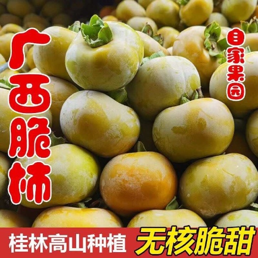 新品种高山脆甜柿子广西恭城脆柿子 大量对接市场电商大量供货中