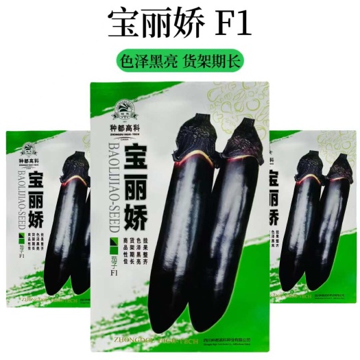 宿迁宝丽娇紫长茄子种子 黑烧烤茄种子茄子种子