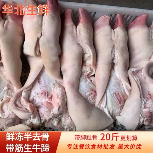 长沙去骨牛蹄生鲜新鲜速冻黄牛带筋商用卤味牛骨头牛掌火烧牛脚踢