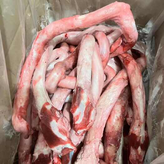 郑州新疆精修大牛鞭屠宰场一手货源
