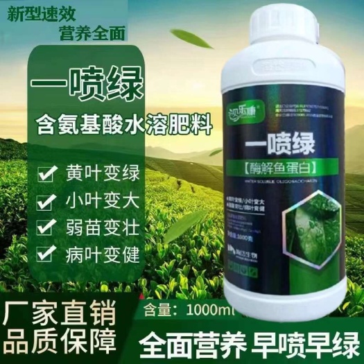 丰顺县0黄叶一喷绿，增绿促长叶片肥厚，黄叶变绿叶，弱苗变壮病叶变健