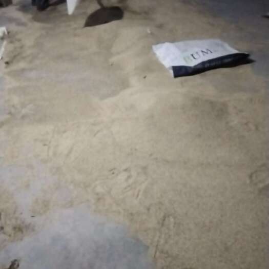 灵宝市自家种植，今年新货，出油率高，产地直销