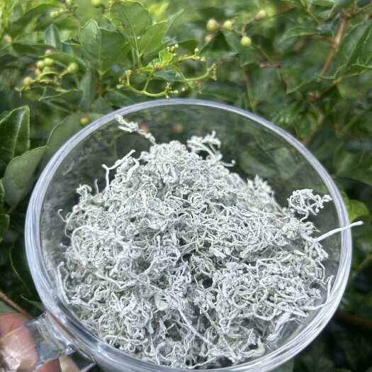 张家界张家界莓茶藤茶